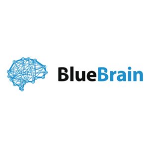 Blue Brain EN