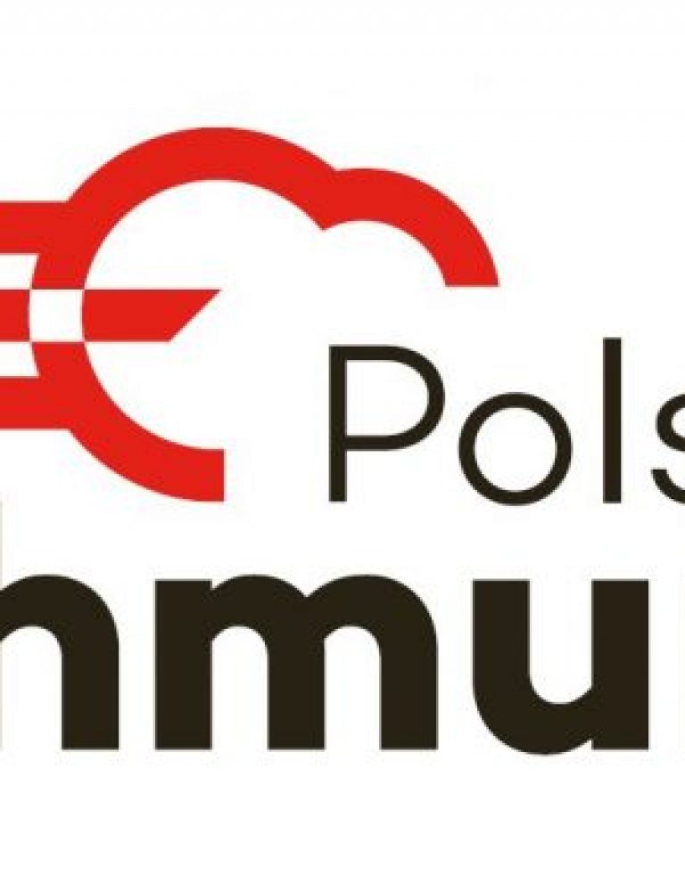 Polska Chmura dla biznesu: Polcom background